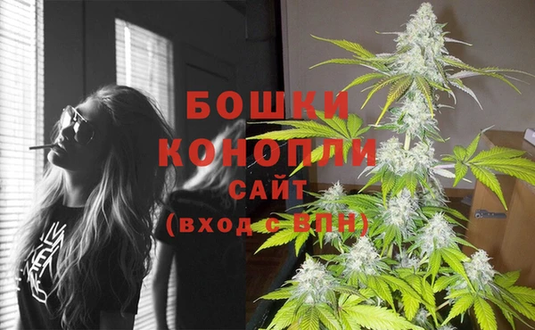 дурь Саяногорск