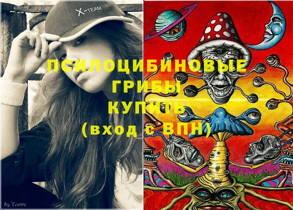 ешки Россошь