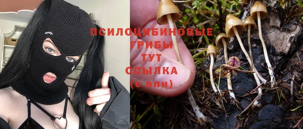 дурь Саяногорск