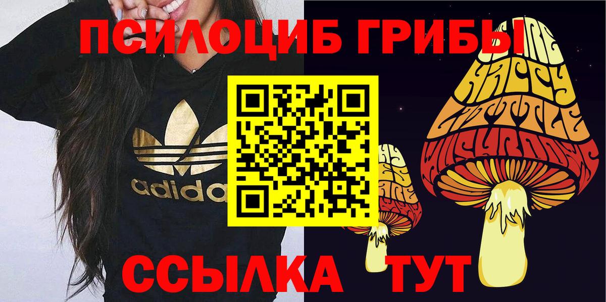 купить наркотики сайты  Вход с VPN  Строитель  Псилоцибиновые грибы GOLDEN TEACHER 
